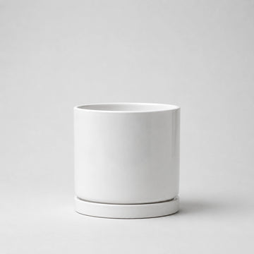 Luma Mini