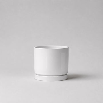 Luma Mini