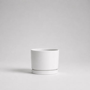 Luma Mini