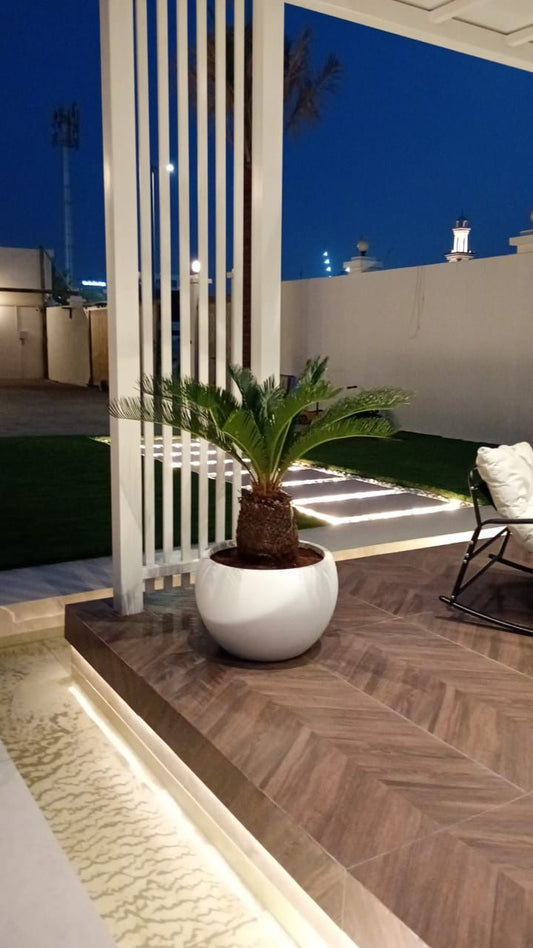 Sago Palm Trunk