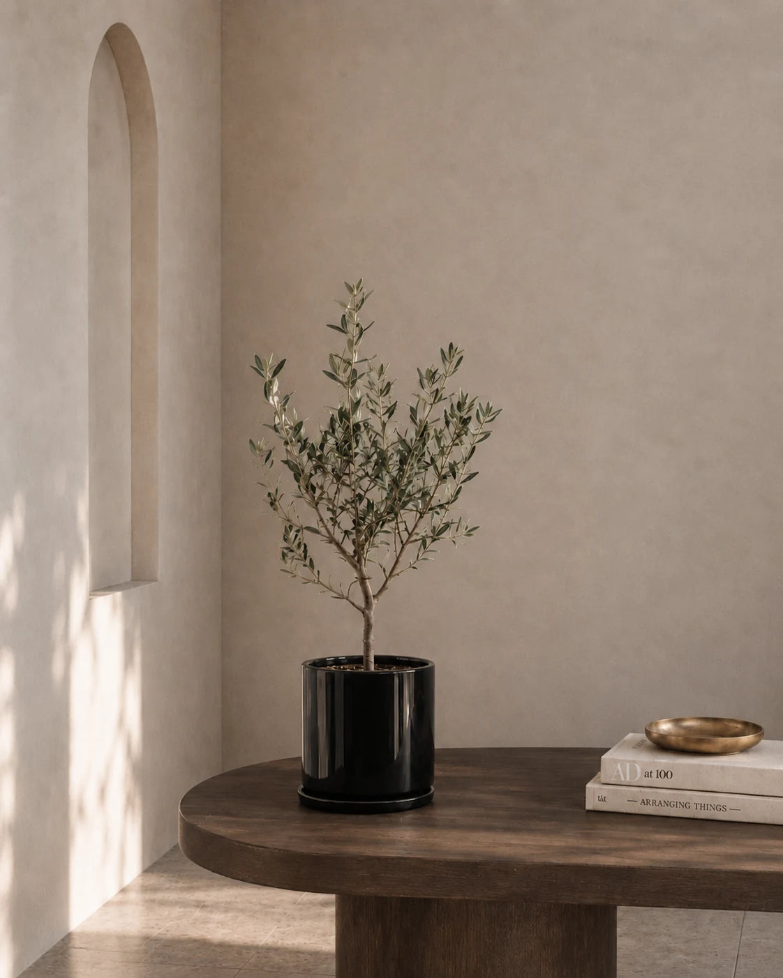 Olive Tree