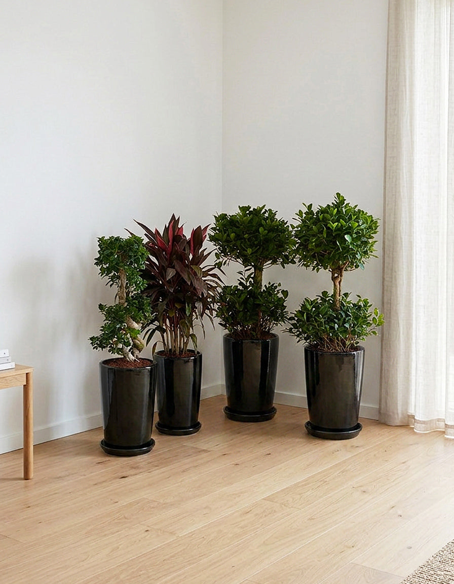Premium Outdoors Bundle - Ceramic Pots