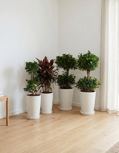 Premium Outdoors Bundle - Ceramic Pots