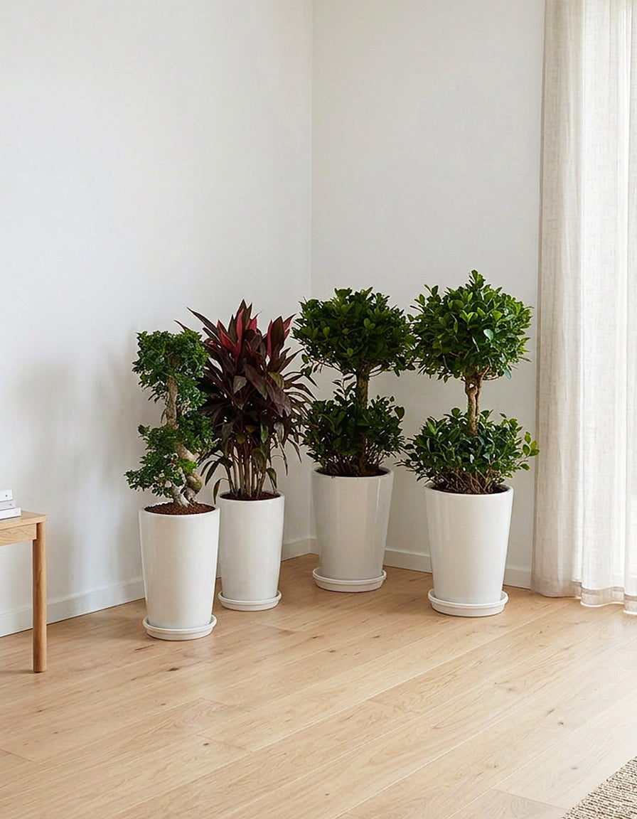 Premium Outdoors Bundle - Ceramic Pots