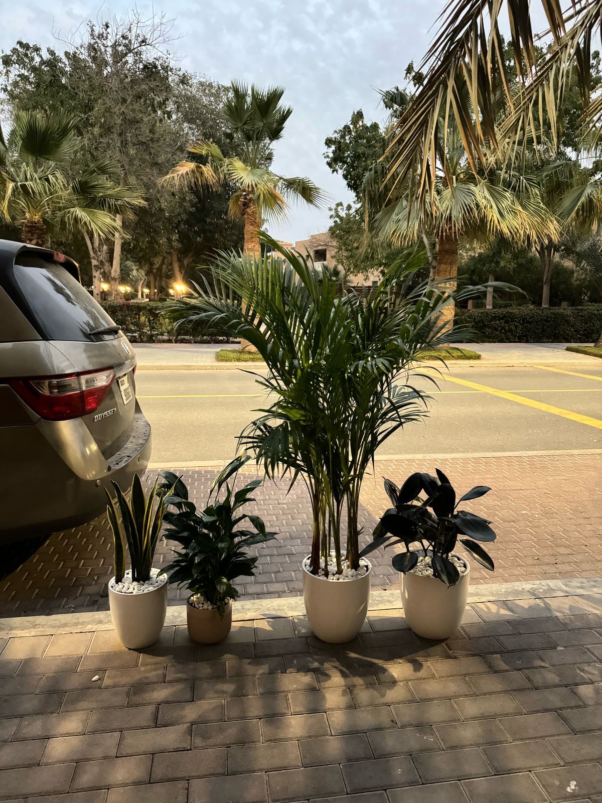 Beginner Friendly - Indoor Bundle