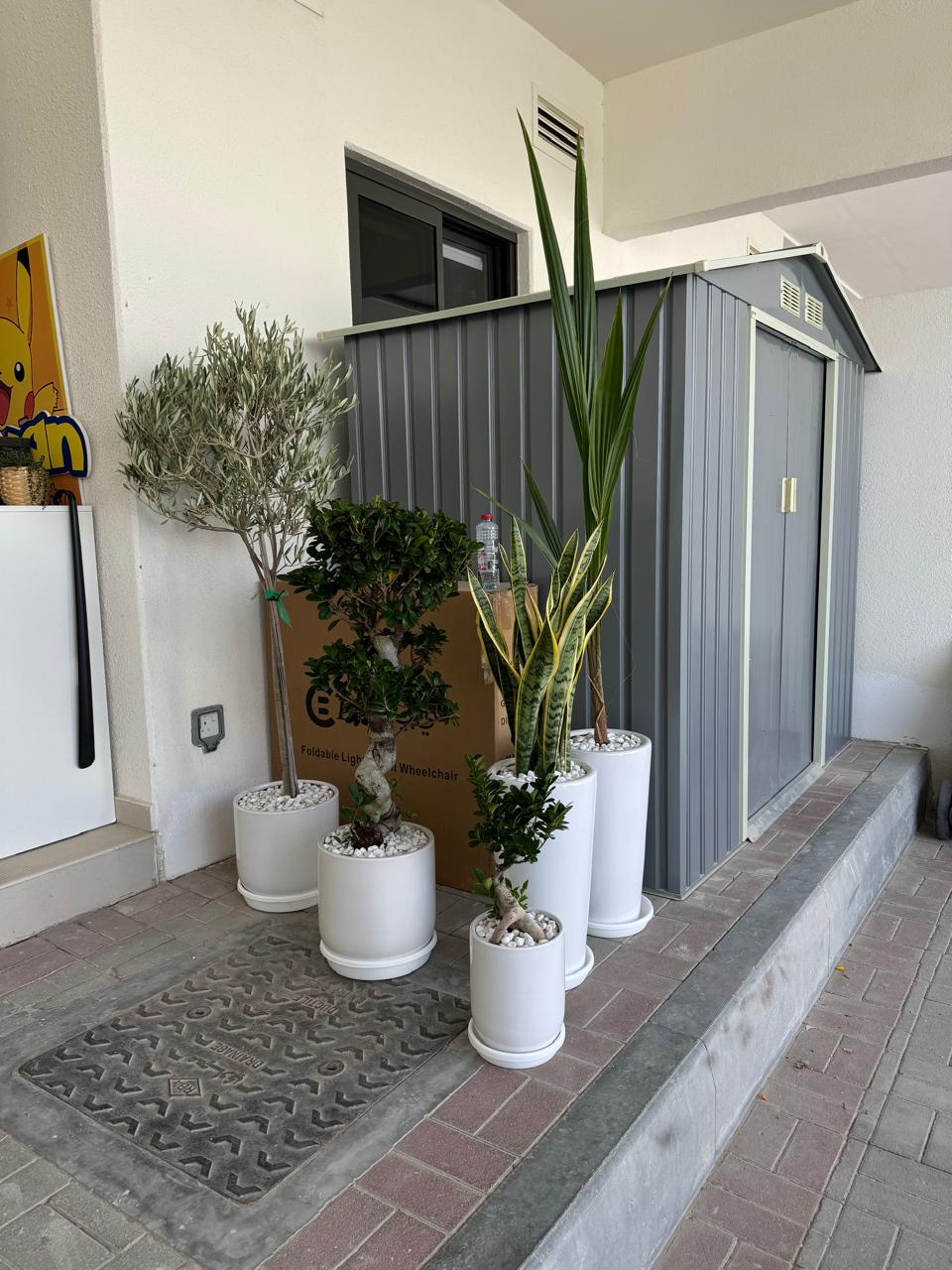 Set of 5 – Effortless Green Elegance