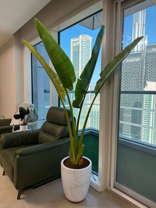 Travelers Palm - Gold & Marble Pot