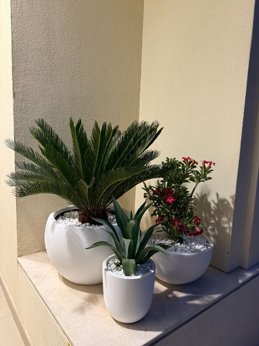 Elegant Outdoor Bundle
