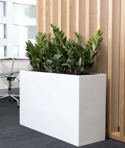 ZZ Fiber Planter Arrangement