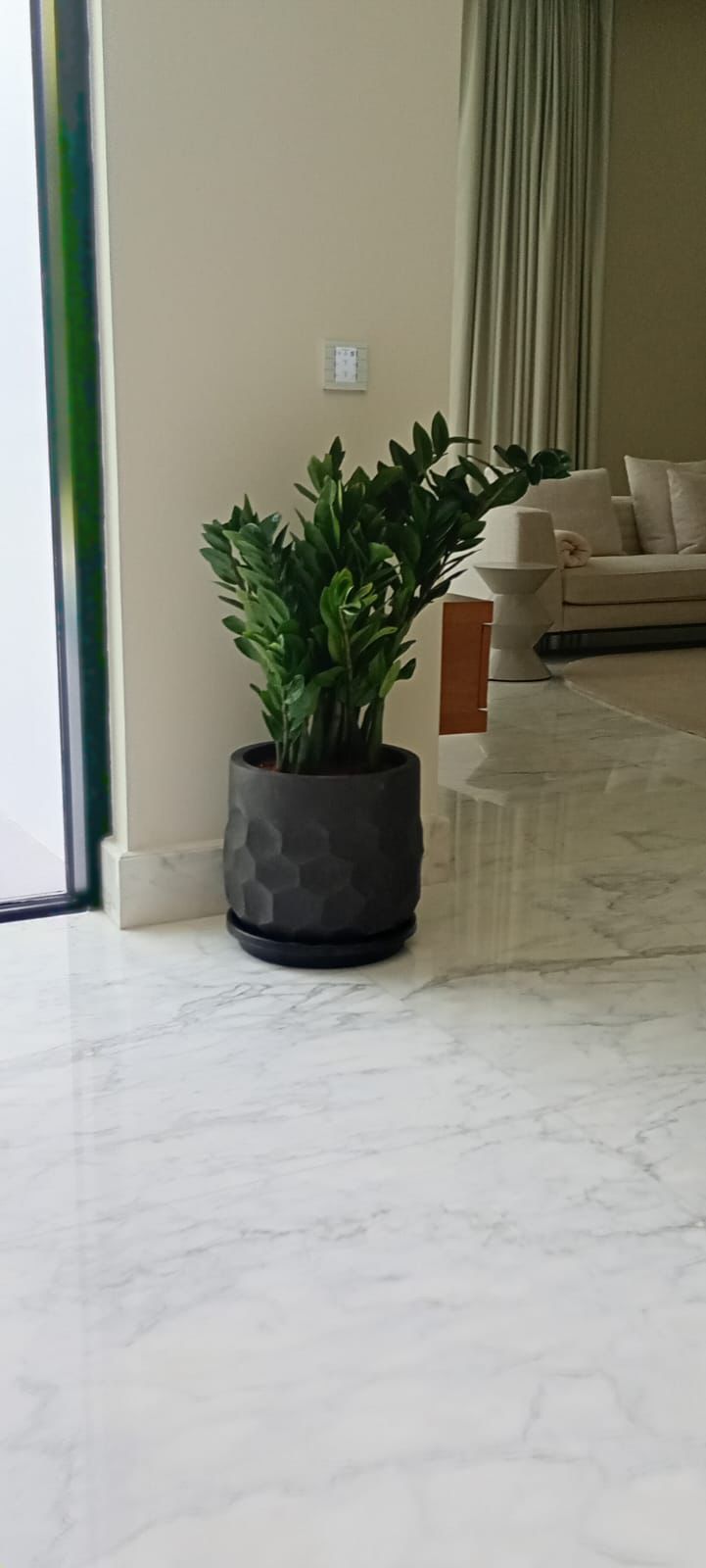 ZZ Fiber Pot