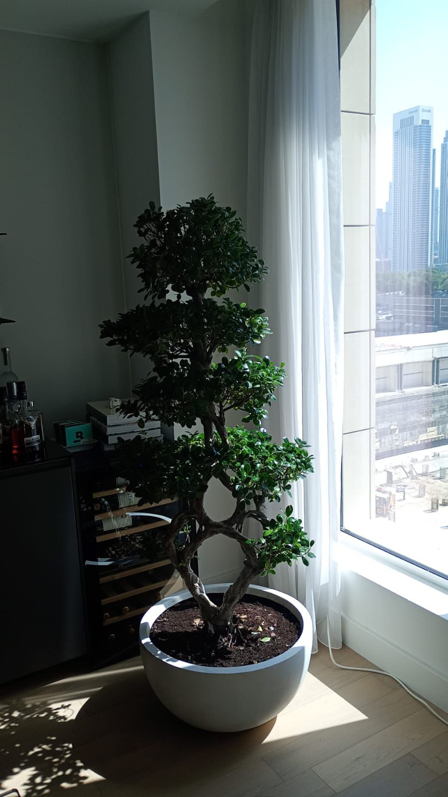 Bonsai - 8 Shape Shallow Pot
