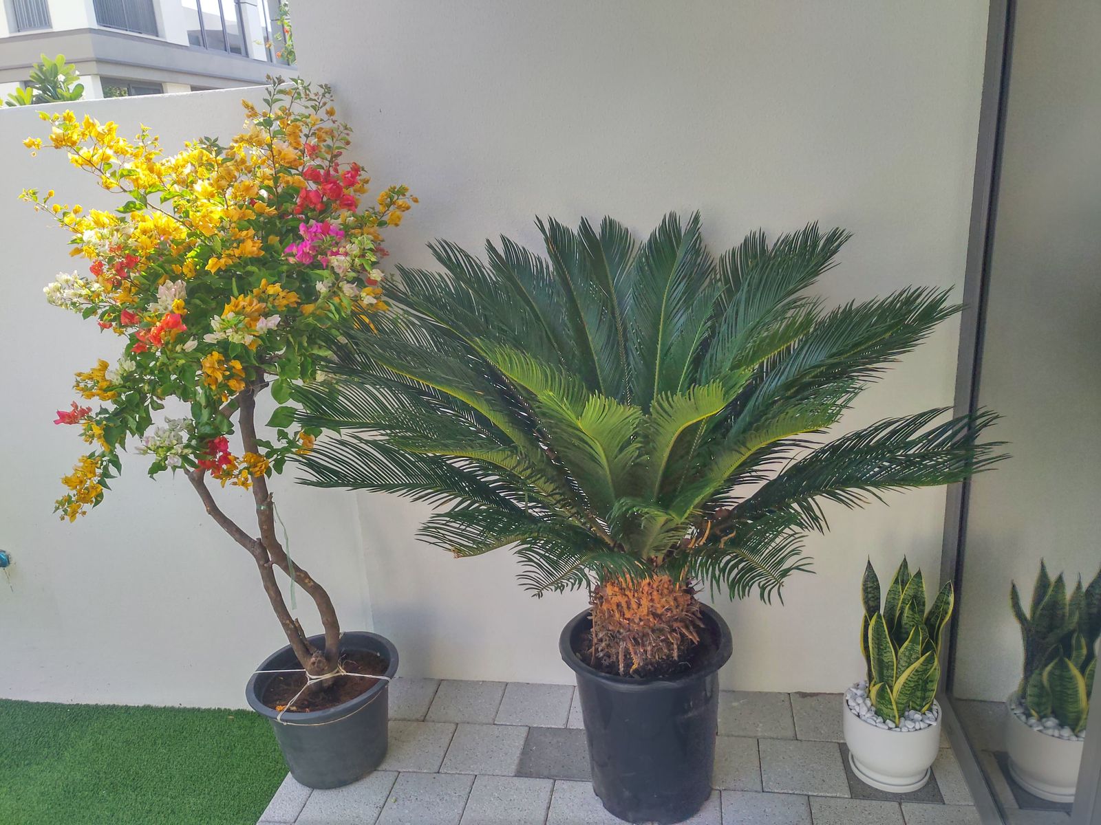 Outdoor Bundle - Nursery Pot