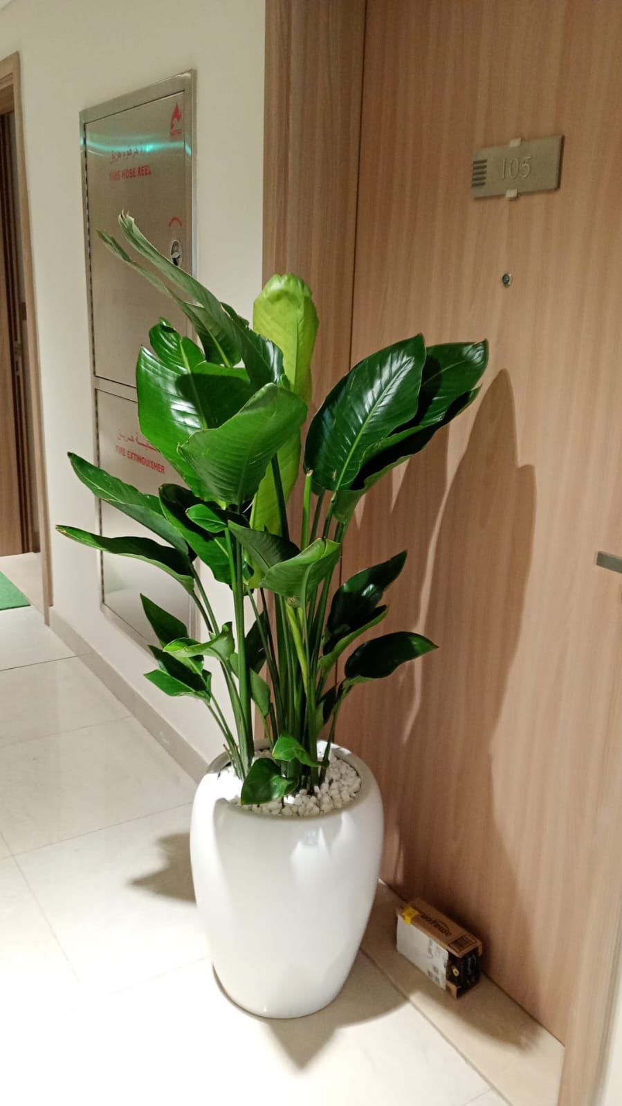 Bird of paradise - Ceramic Pot