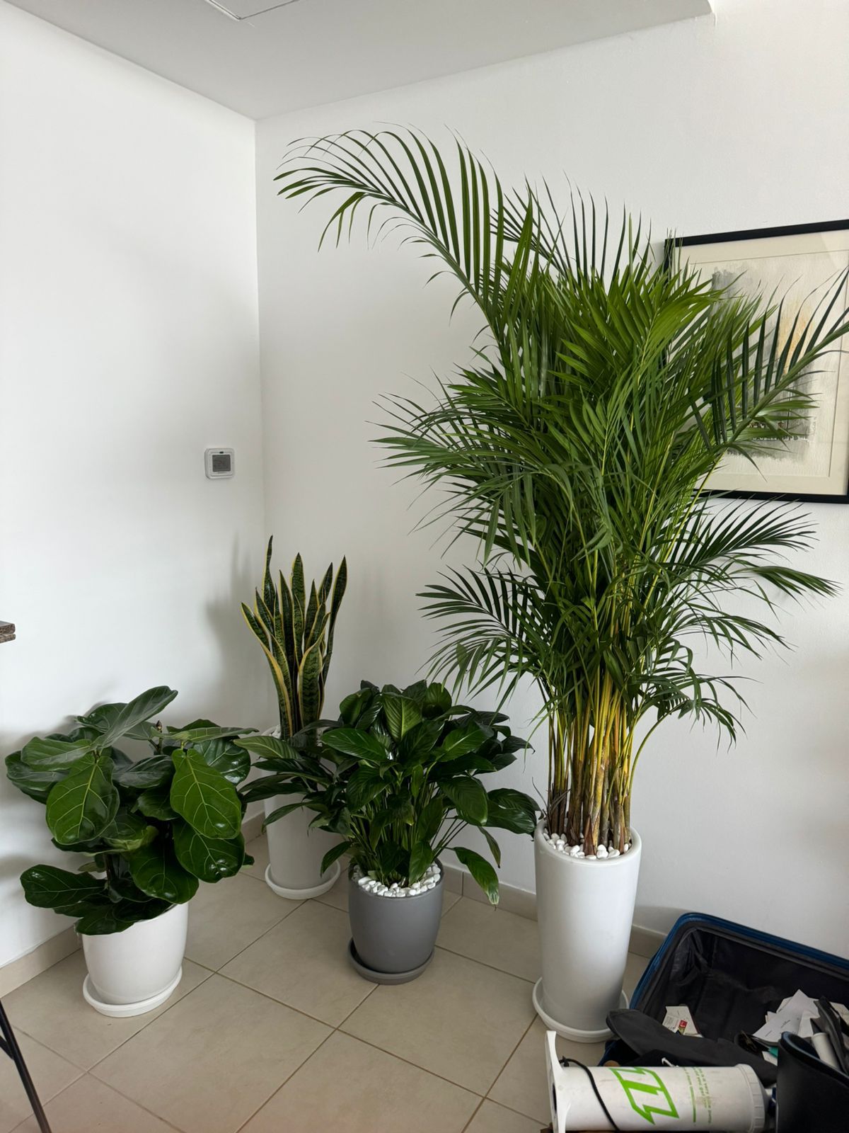 Ultimate Air purifier Bundle of 4