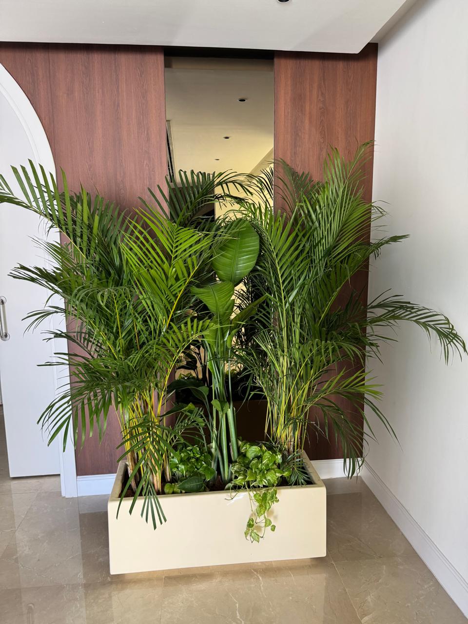 Privacy Arrangement Tropical - Fiber Planter