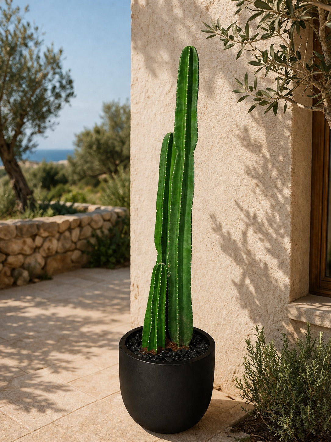 Cactus - Fiber Pot