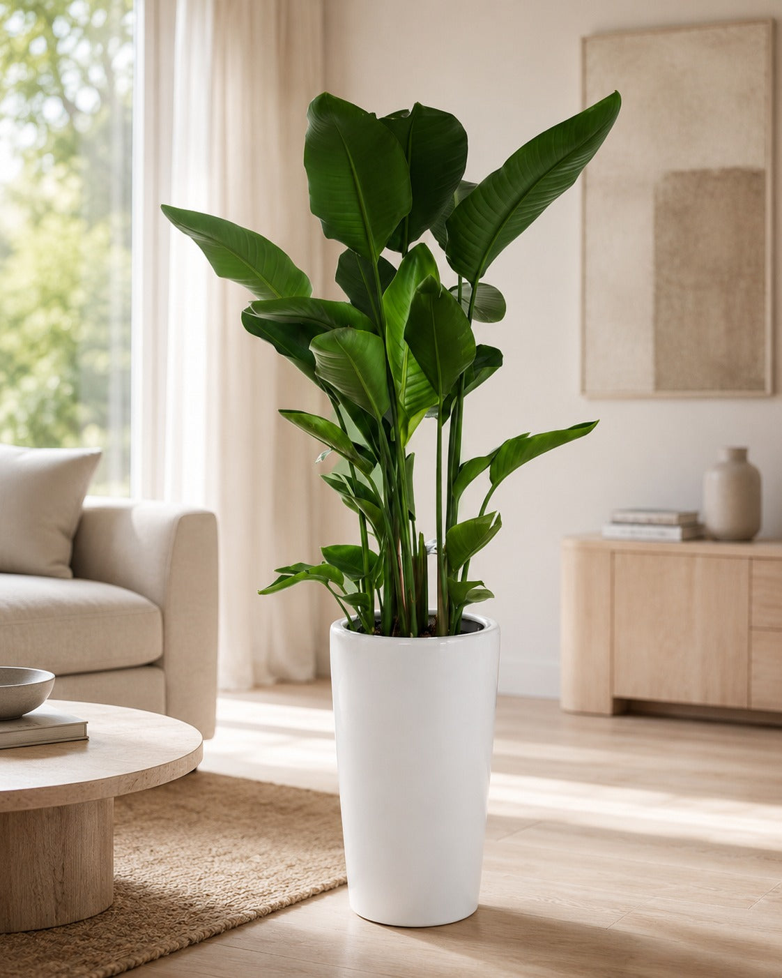 Bird of Paradise - Tall Ceramic Pot