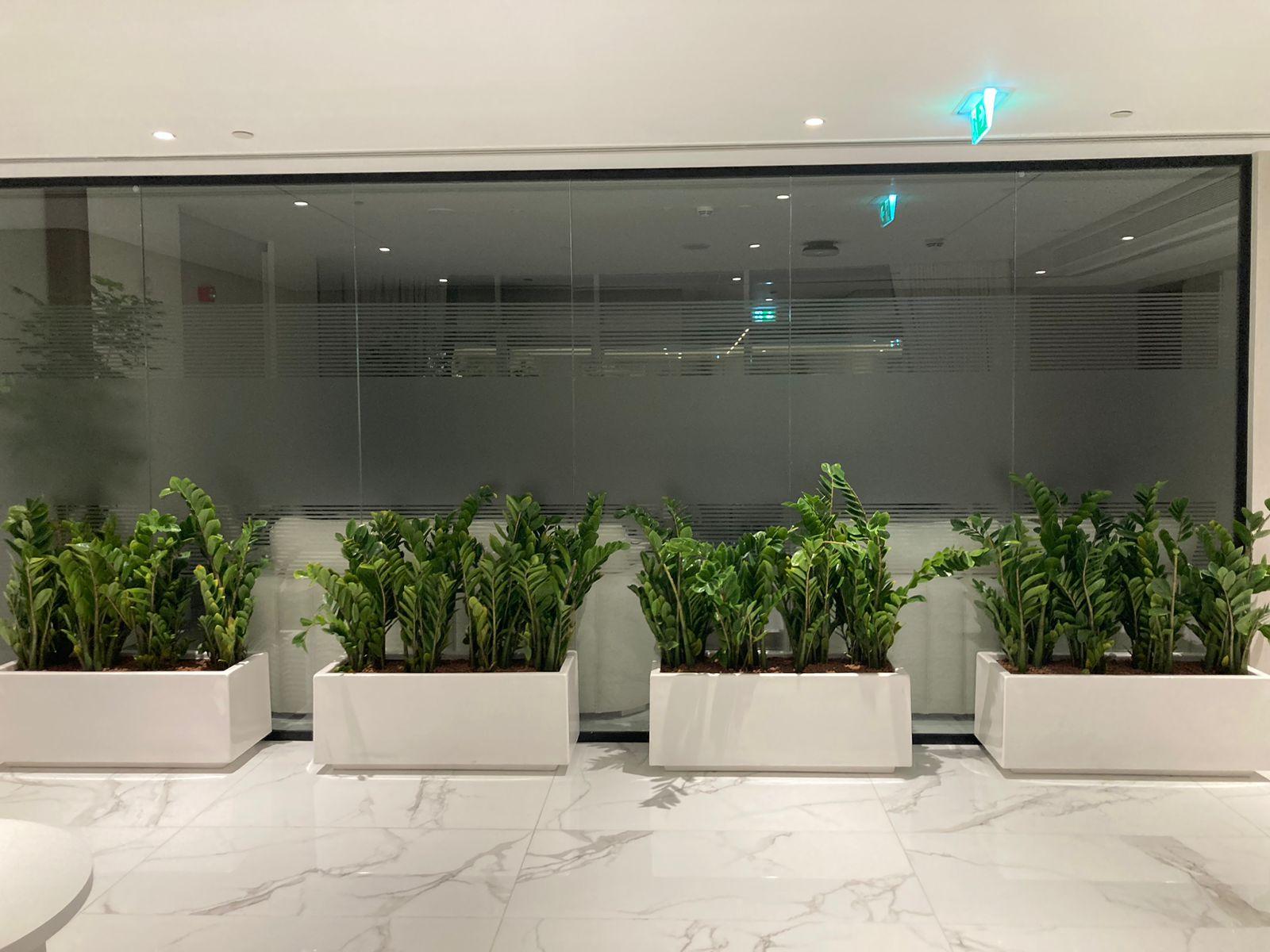 ZZ Fiber Pot Arrangement - Each