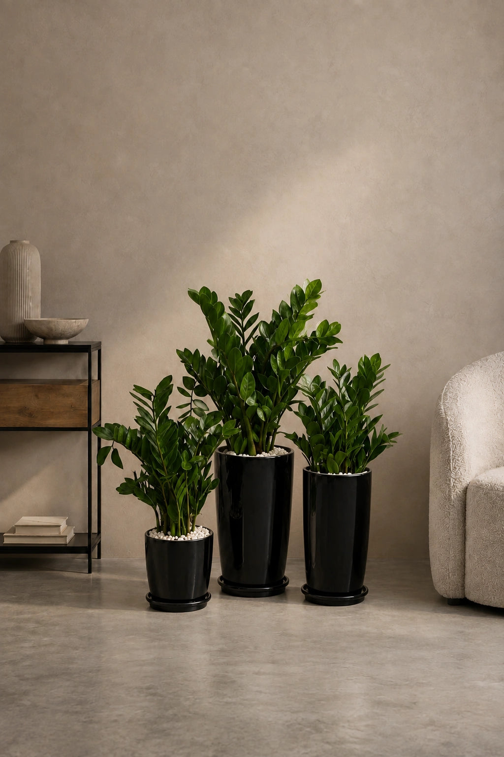 Easy Low-Light Trio