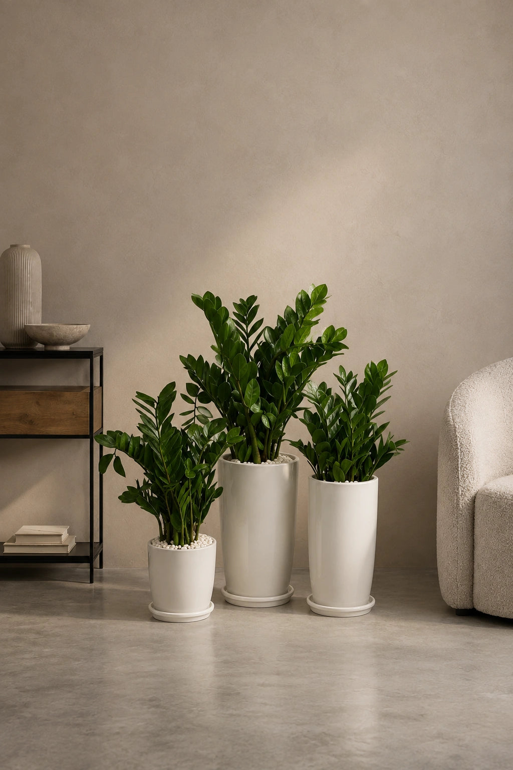 Easy Low-Light Trio