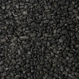 Black Pebbles - Per Plant