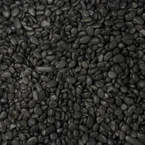 Black Pebbles - Per Plant