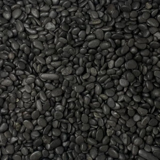 Black Pebbles - Per Plant, product photo 1
