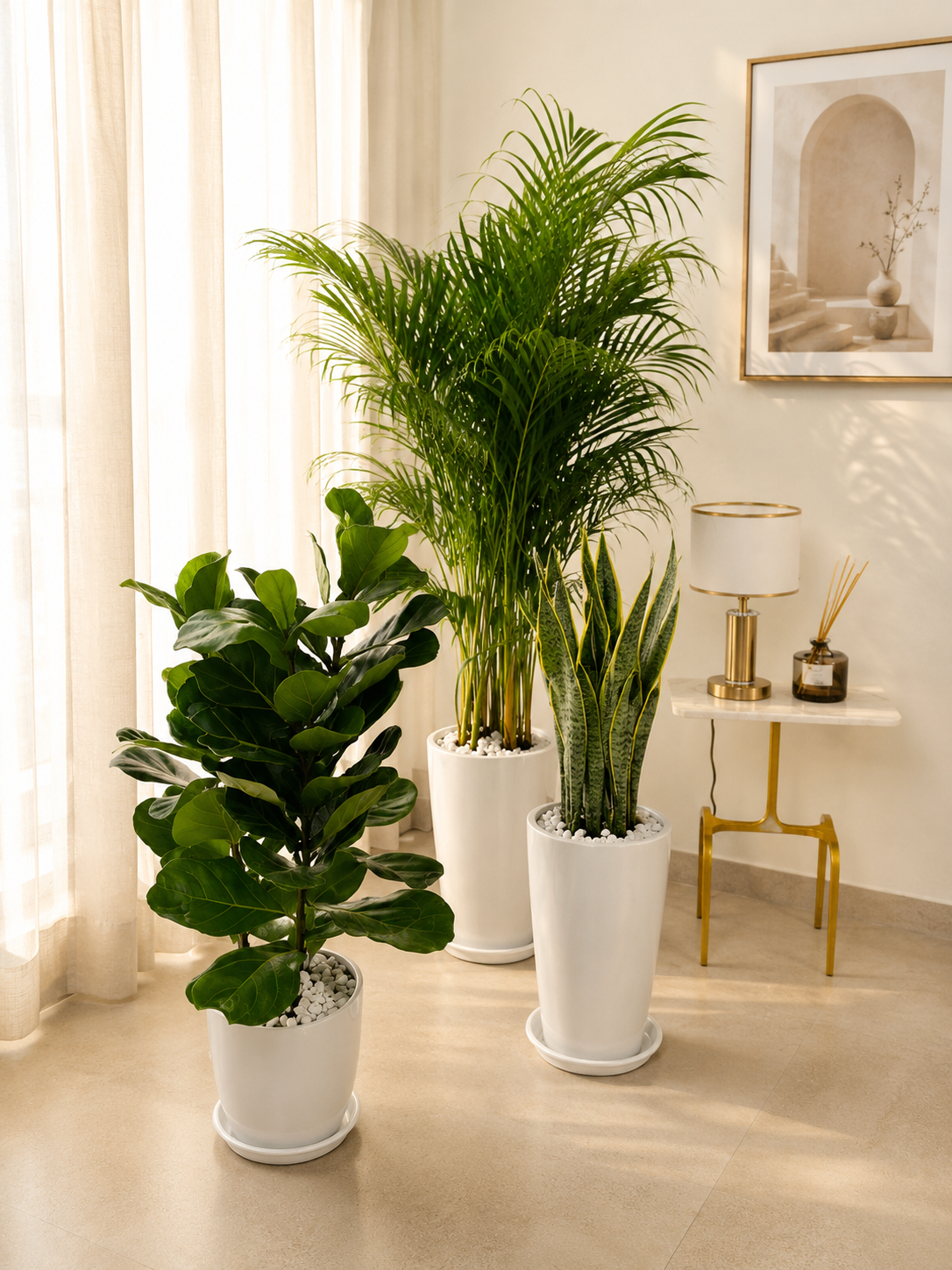 Air Purifier Bundle - Best Value