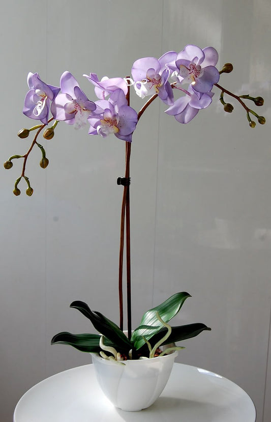 Artificial Purple Orchid - Ceramic Pot