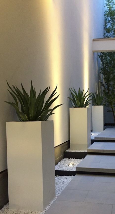 Agave - Fiber Pot - Entrance Plants