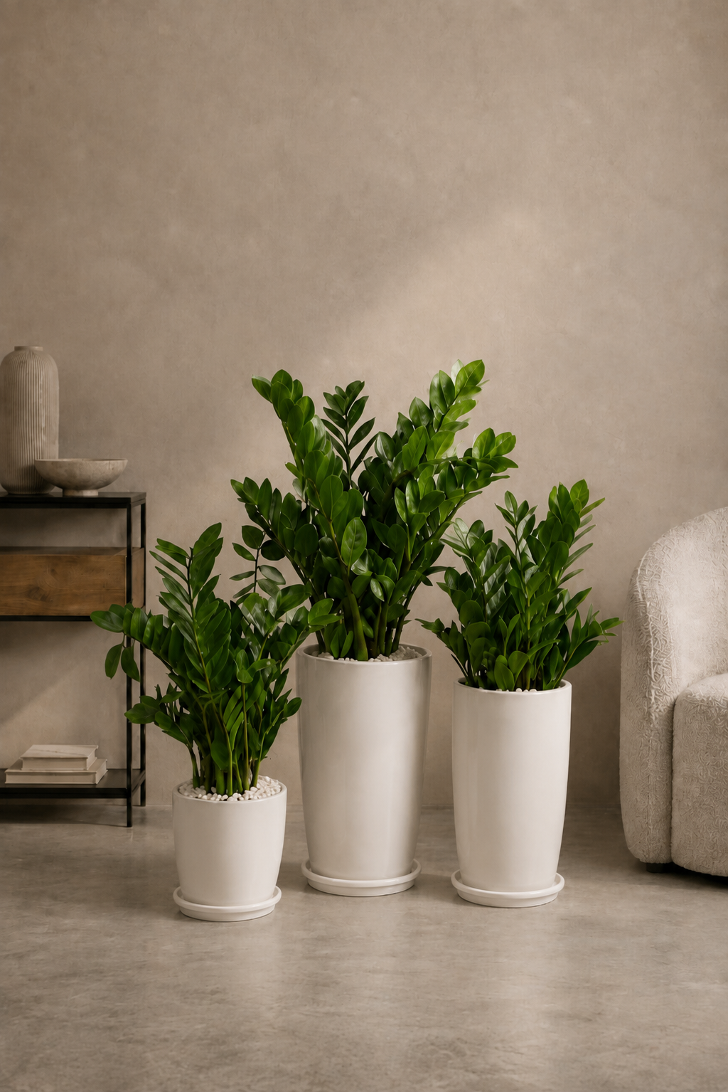 Easy Low-Light Trio