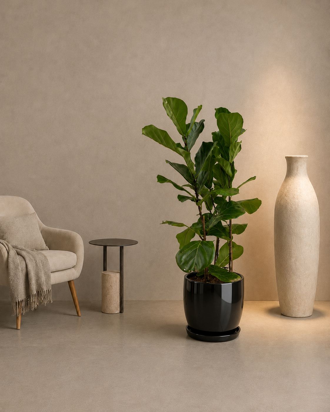 Fiddle Leaf
