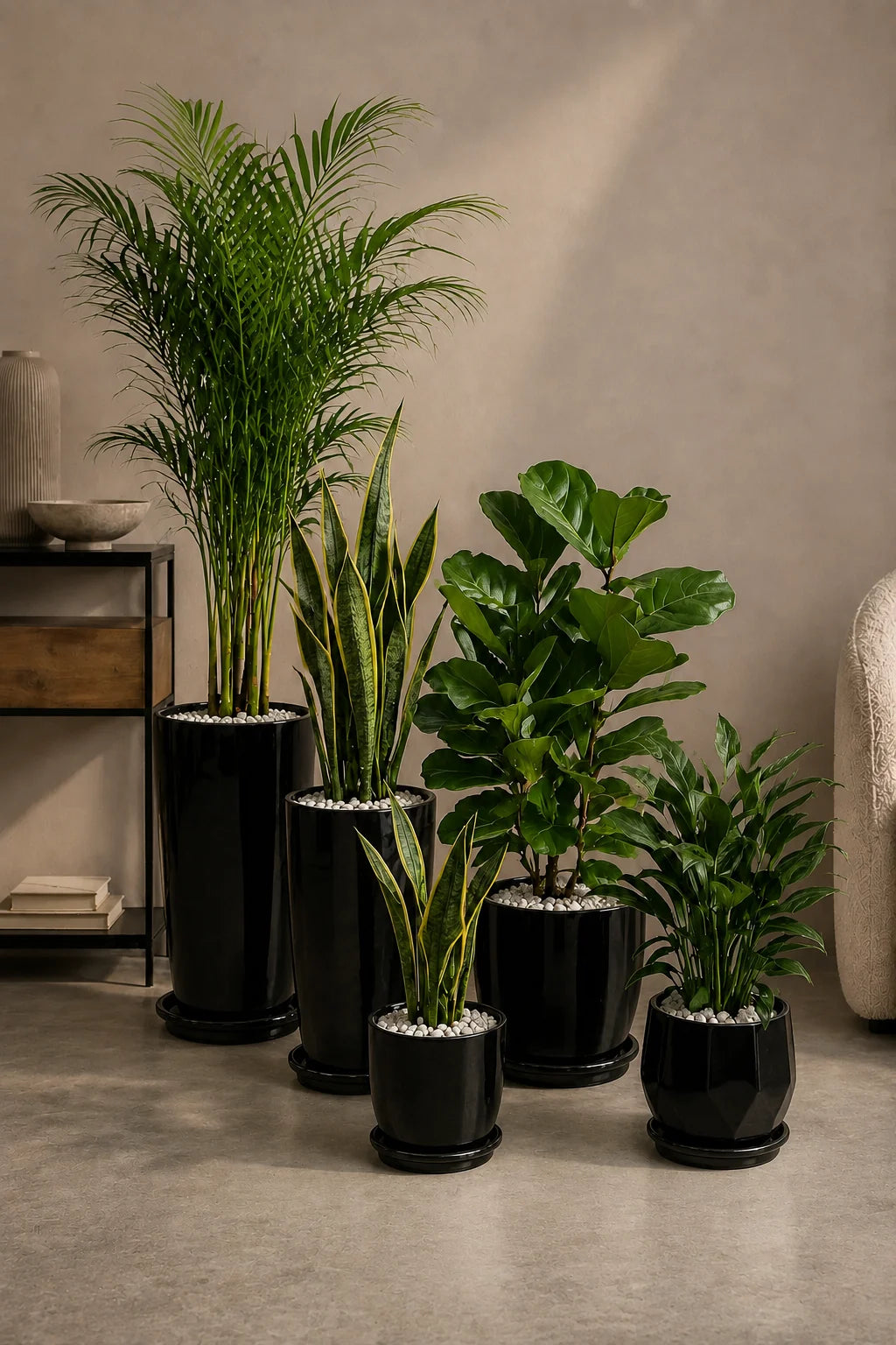5 Air Purifying Bundle