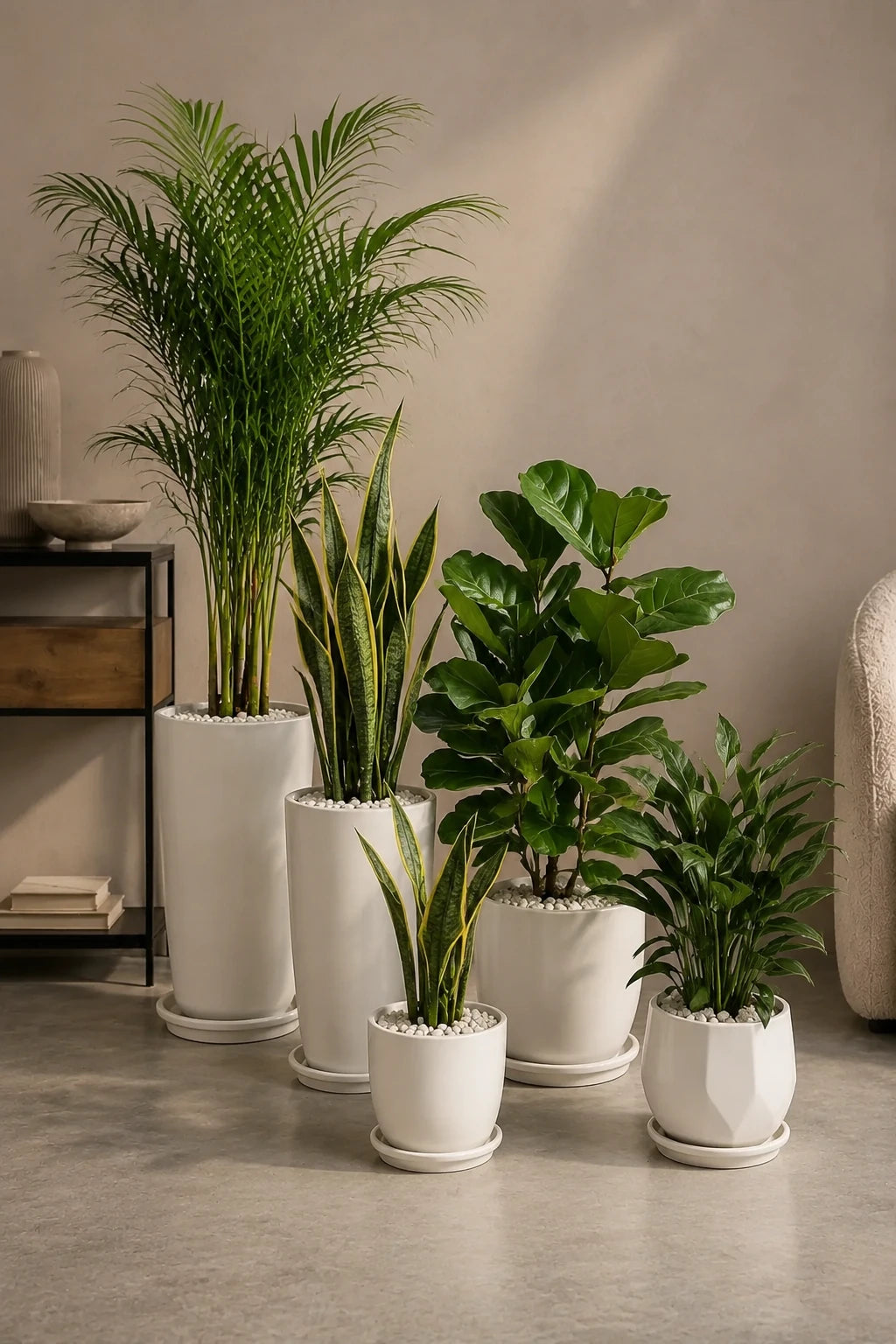 5 Air Purifying Bundle