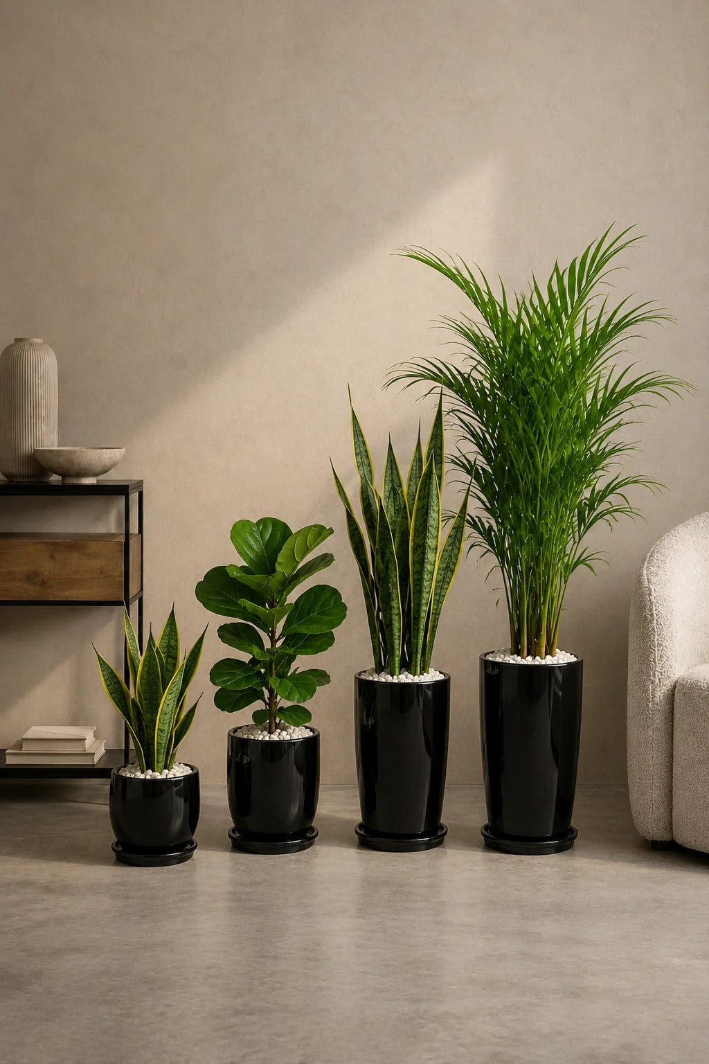 4 Air Purifier Set - Best Seller!