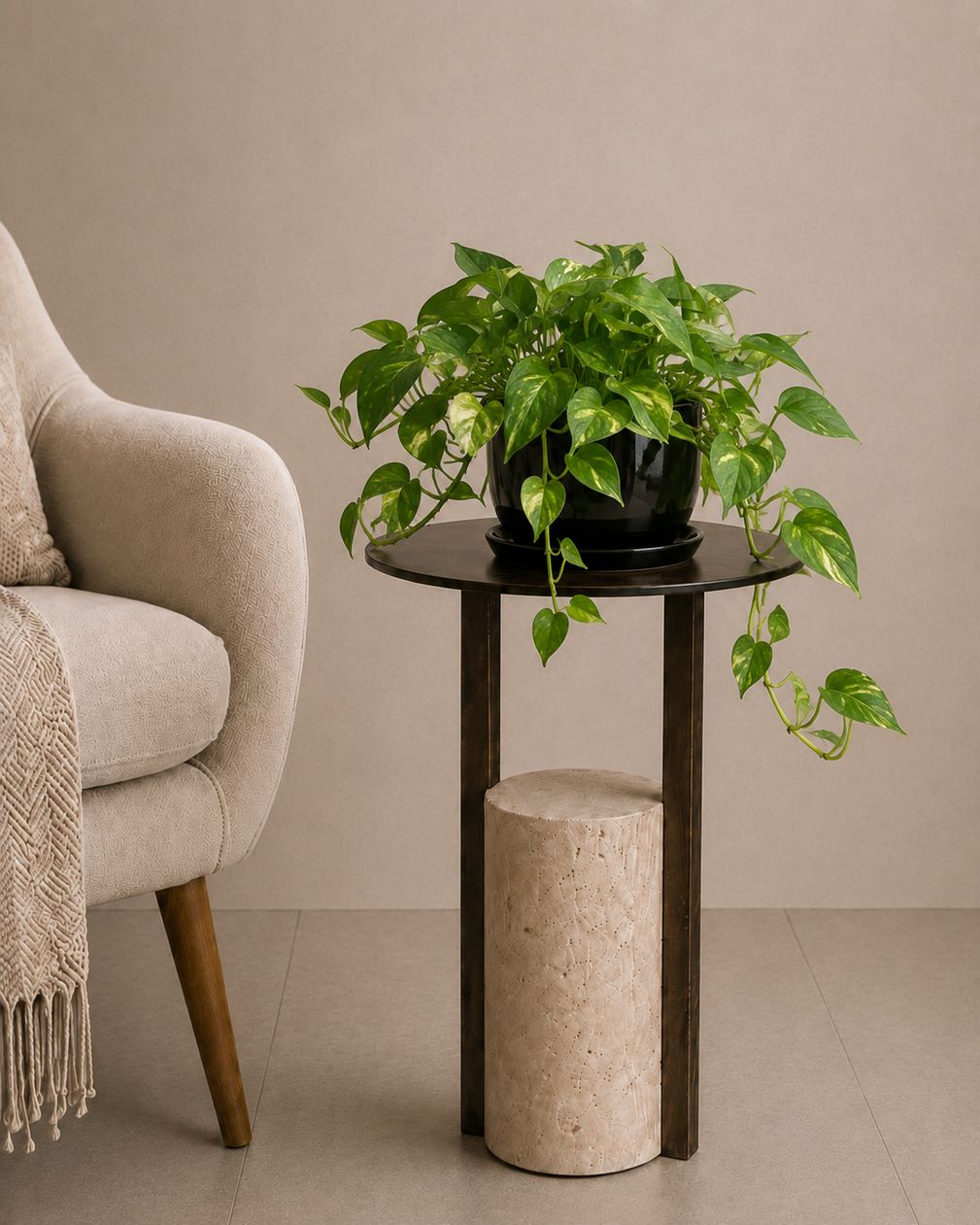 Money Plant