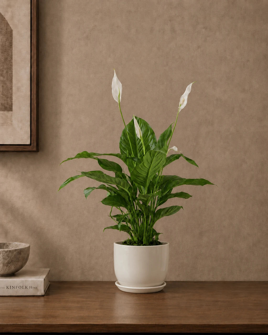 Peace Lily