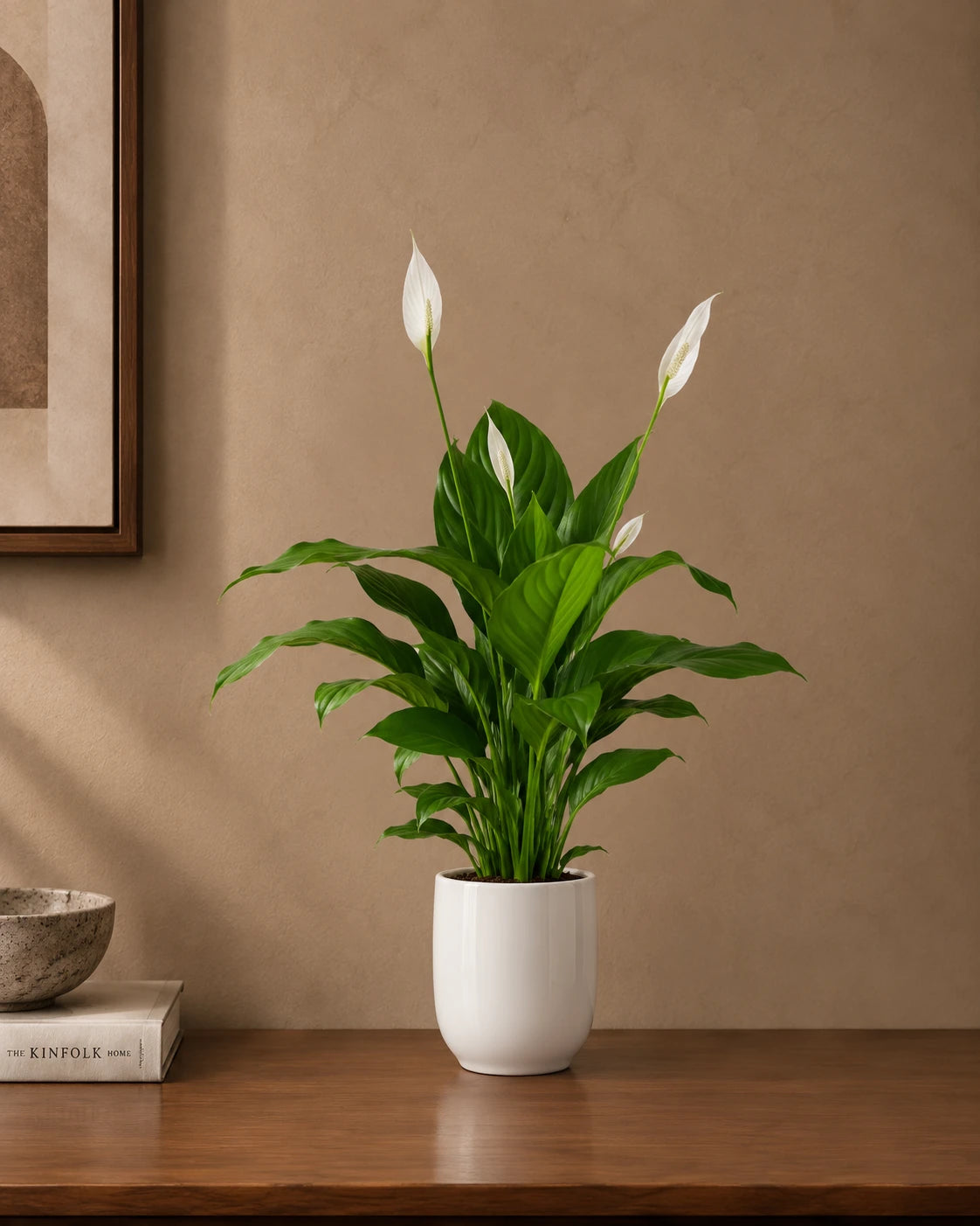 Peace Lily