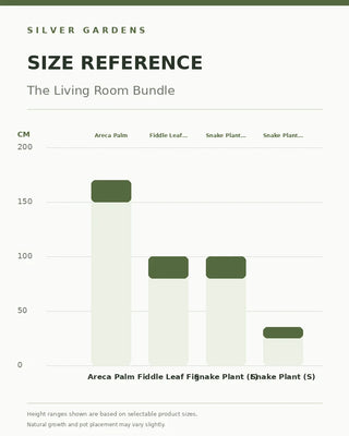 SG Size Reference — The Living Room Bundle — verified Shopify height options