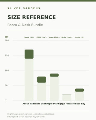 SG Size Reference — Room & Desk Bundle — verified Shopify height options