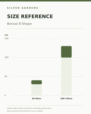 SG Size Reference — Bonsai 8 Shape