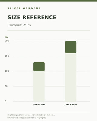 SG Size Reference — Coconut Palm