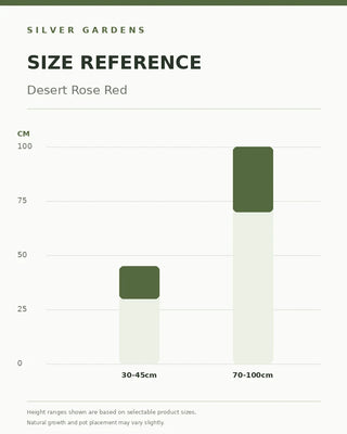 SG Size Reference — Desert Rose Red