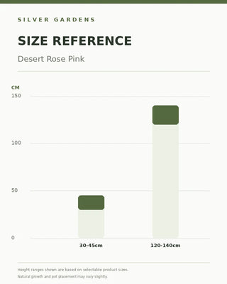 SG Size Reference — Desert Rose Pink