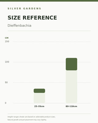 SG Size Reference — Dieffenbachia