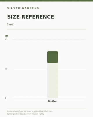 SG Size Reference — Fern