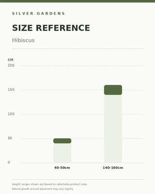 SG Size Reference — Hibiscus