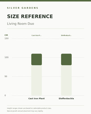 SG Size Reference — Living Room Duo