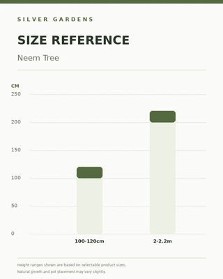 SG Size Reference — Neem Tree