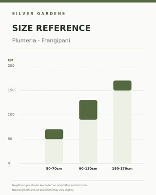 SG Size Reference — Plumeria - Frangipani